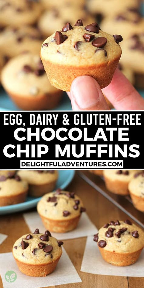 Chocolate Chip Muffins Vegan, Vegan Muffin Recipe, Gluten Free Chocolate Chip Muffins, Vegan Muffin, Cocktail Appetizer, Dairy Free Muffins, Mini Chocolate Chip Muffins, Gluten Free Dairy Free Dessert, Dairy Free Recipes Dinner