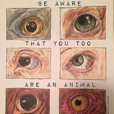 Animal Testing Art, Animal Cruelty Art, Vegan Activism, Vegan For The Animals, Vegan Art, Vegan Design, Vegan Memes, Animal Activism, Animal Agriculture