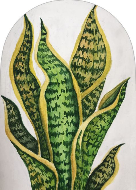 Plants Mural Painting, Flower Tropical Drawing, Plants Aesthetic Painting, Plant Drawing Colored Pencil, Botanical Garden Drawing, Snake Plant Drawing, Drawing Ideas Plants, Snake Plant Painting, Plant Painting Acrylic