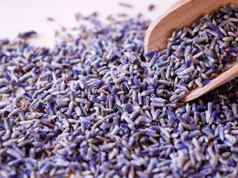 Lavender uses: 16 ways to use lavender in and around the home Lavender Food, Edible Lavender, Lavender Uses, Flower Lavender, Bath Scrubs, Garden Organization, Lavender Herb, Pet Smell, Clean Decor