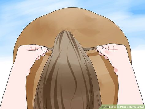 How to Plait a Horse's Tail (with Pictures) - wikiHow Horse Hair Styles, Horse Hairstyles, Mane Braids, Horse Mane Braids, Horse Braids, Arena Design, Horse Projects, Horse Hair Braiding, Horse Braiding