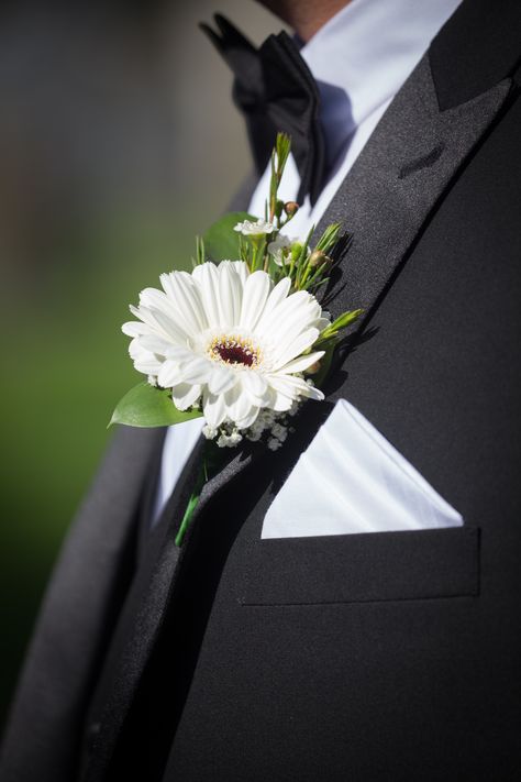 Simple but beautiful grooms button hole of white gerbera with gypsophila and greenary. #weddingattire #blacksuitandbowtie #buttonholes #gerbera #weddingflowers Gerber Daisy Boutonniere, Wedding Gerbera Bouquet, Gerbera Wedding Decoration, Gerbera Buttonhole, Gerbera Wedding Bouquet, Gerber Daisy Bouquet Wedding, Gerbera Bridal Bouquet, Gerber Daisy Bouquet, Daisy Boutonniere