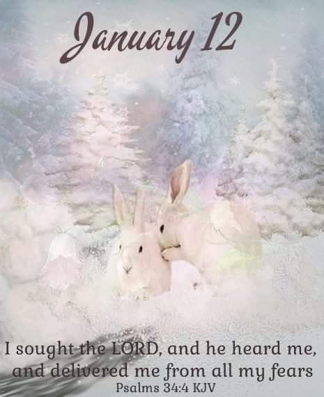 Friday January 12, 2018. January 12 Blessings, January 12 Bible Verse, January Blessings, Faith Pictures, January Images, December Scriptures, January Quotes, Months And Seasons, Reflection Pictures