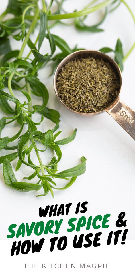 What is Savory Spice? - The Kitchen Magpie Veggie Options, Savory Spice, Summer Savory, Rosemary Sage, Herb Jar, Winter Dishes, Savory Herb, Mint Plants, Herb Recipes