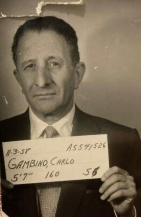 Italian Mobster Aesthetic, Italian Mobsters, Chicago Mafia, Gambino Family, Carlo Gambino, Public Enemies, Mongol Empire, Real Gangster