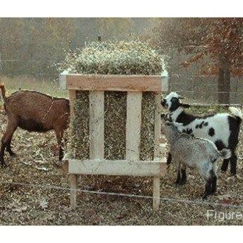 DIY Garbage Can Goat Feeder Diy Goat Hay Feeder, Diy Garbage Can, Horse Hay Feeder, Goat Yard, Diy Hay Feeder, Hay Holder, Goat Hay Feeder, Alaskan Bear, Bale Of Hay