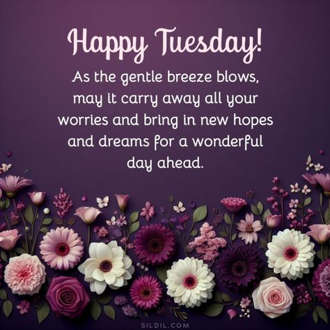 220 Happy Tuesday Blessings Quotes (INSPIRATIONAL) Tuesday Encouragement Quotes, Tuesday Quotes Good Morning Blessed, Thankful Tuesday Quotes, Tuesday Morning Quotes Inspiration, Blessed Tuesday Quotes Inspiration, Tuesday Motivation Inspiration Wisdom, Blessed Tuesday Quotes, Tuesday Encouragement, Happy Tuesday Quotes Inspiration