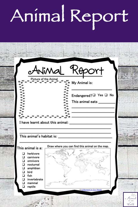 This {FREE} Printable Animal Report is great for the child who deeply loves animals and is interested in learning more about them. Animal School Project Ideas, Zoology Project Ideas, Animal Report Template, Animal Research Project, Book Report Template, 3rd Grade Books, Animal Report, Animal Study, Animal Science