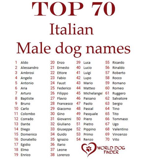 Italian Dog Names, Food Names For Dogs, Italian Food Names, Pet Names For Boyfriend, Dogs Names List, Cute Animal Names, Italian Dogs, Cute Puppy Names, Rich Dog