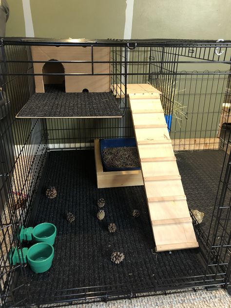 Dog Crate Turned Into Bunny Cage, Dog Cage Rabbit House, Dog Crate Rabbit Cage Diy, Rabbit Dog Cage Ideas, Rabbit Cage Decoration Ideas, Dog Cage For Rabbit, Dog Kennel Rabbit Cage, Dog Crate Rabbit Cage, Rabbit Cage Setup