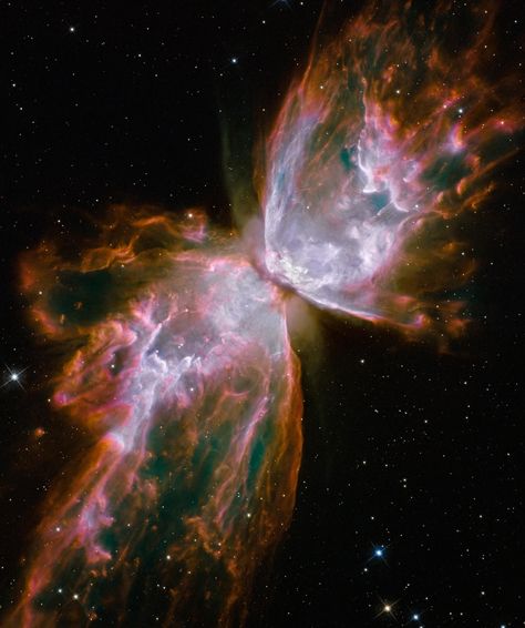 Butterfly Nebula, Hubble Space Telescope Pictures, Telescope Pictures, Scientific Art, Hubble Pictures, Nebula Space, Left Brain, Quantum Entanglement, Space Universe