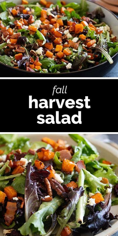 Filled with the flavors of fall, this Fall Harvest Salad is the perfect side dish for holidays or as a part of any dinner. Made with butternut squash, bacon, pecans, and dried cranberries, this is a salad you will want to make over and over again. Harvest Fall Salad, Fall Salads For A Crowd, Salad Autumn, Popular Salads, Savory Potato Salad, Grilled Butternut Squash, Harvest Salad Recipes, Butternut Squash Bacon, Simple Salad Recipes