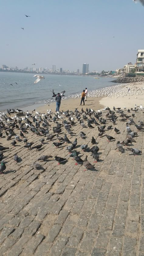 Mumbai Beach Aesthetic, Bandra Mumbai Snapchat, Mumbai Food Snap, Juhu Beach Mumbai Snapchat Story, Juhu Beach Mumbai Snapchat, Mumbai Snapchat Stories, Marine Drive Mumbai Snapchat, Mumbai City Snapchat, Mumbai Snapchat