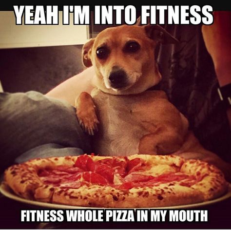 Yup yup Man Lunch, Pizza Meme, Breakfast Low Carb, Motivation Poster, Memes Of The Day, Funny Dog Memes, Food Memes, Workout Memes, Funny Animal Memes