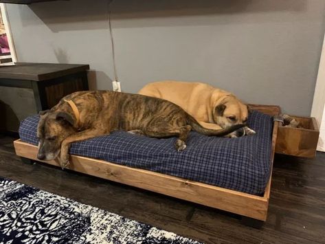 Dog Bed Using Crib Mattress, Diy Dog Bed From Crib Mattress, Dog Crib Bed, Dog Bed For Two Dogs, Dog Bed Out Of Crib Mattress, Dog Bed From Crib Mattress, Dog Beds Made From Baby Cribs, Baby Mattress Dog Bed, Toddler Bed Dog Bed