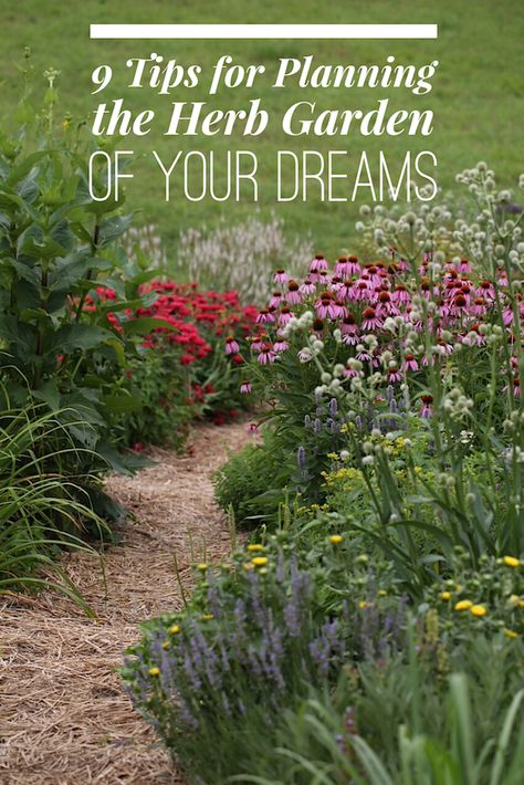 9 Tips For Planning the Herb Garden of Your Dreams | Chestnut School Medicinal Herb Garden, Garden Planning Ideas, Herbal Garden, Outdoor Herb Garden, Herb Garden Ideas, Medicinal Herbs Garden, Gardening Herbs, Types Of Herbs, Medicinal Garden