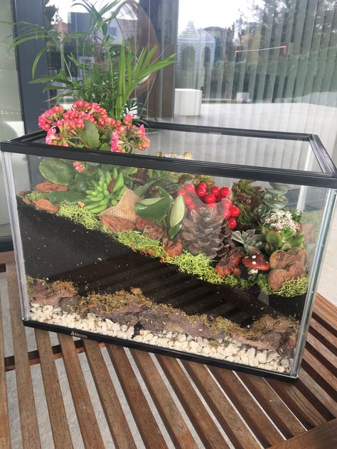 House Plant Terrarium, Repurpose Fish Tank, Tank Upcycle, Fish Tanks Ideas, Best Terrarium Plants, Sanctuary Decor, Closed Terrarium, Aquarium Garden, Diy Succulent Terrarium