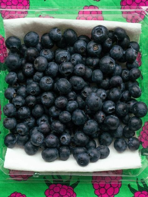 How to Store Blueberries (make them last for weeks) - Brooklyn Farm Girl How To Store Blueberries, Blue Berries, How To Store, Frozen Blueberries, Vegan Treats, Farm Girl, Food Tips, Save Food, Blueberries