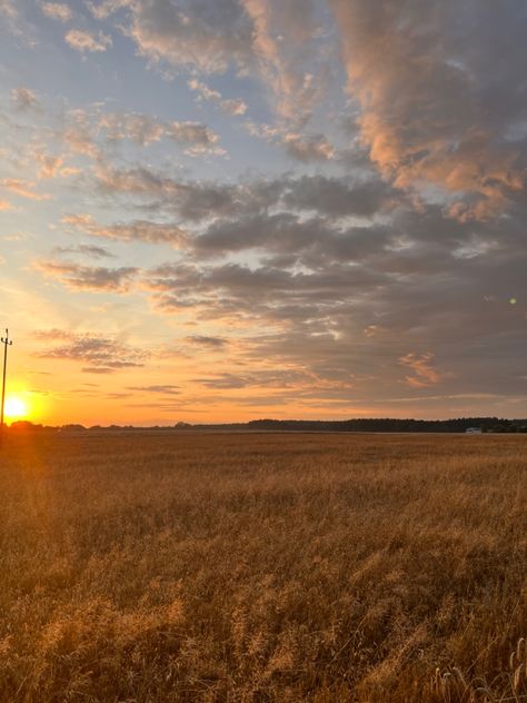 Golden Fields Photography, Orange Field Aesthetic, Sunny Grass Field Aesthetic, Barley Field Aesthetic, Fields Of Gold Aesthetic, Grain Field Photography, Golden Field Aesthetic, Open Fields Aesthetic, Yellow Field Aesthetic