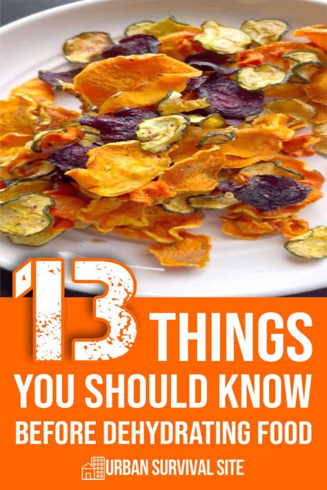 13 Things You Should Know Before Dehydrating Food Dehydrated Bacon, Dehydrated Rhubarb, Things To Dehydrate, Foods To Dehydrate, Dehydrator Recipes Fruit, Hunting Food, Dehydrating Recipes, Dehydrating Food Storage, Food Dehydration