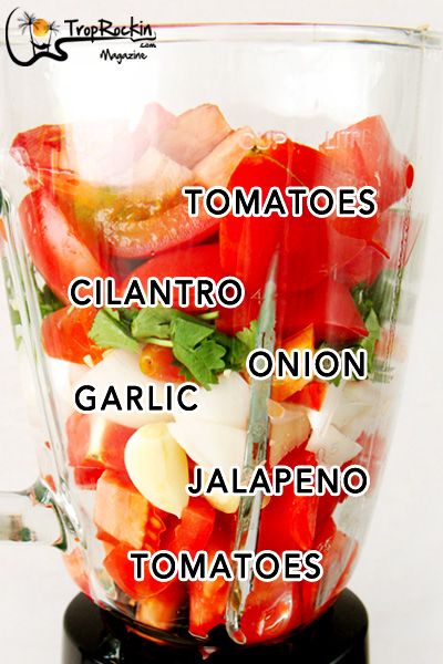 Make Salsa From Fresh Tomatoes, Easy Salsa Recipe Fresh Tomatoes, Easy Salsa With Fresh Tomatoes, Best Salsa Recipe Ever Fresh Tomatoes, Homemade Salsa Ninja Blender, Easy Salsa Recipe 3 Ingredients, Salsa Homemade Fresh, Salsa Recipe With Fresh Tomatoes And Jalapenos, Salsa Using Fresh Tomatoes