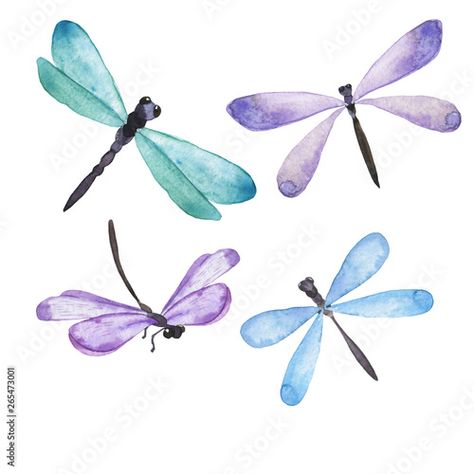 Butterfly Watercolor Painting, Painting Clipart, Dragonfly Drawing, Dragonfly Painting, Watercolor Dragonfly, Hat Art, Dragonfly Art, Butterfly Clip Art, Dragonflies Design