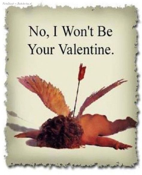 No I wont be your Valentine valentines day cupid valentines day quotes valentine funny valentines day quotes anti valentines day valentines humor I Hate Valentines Day, I Hate Valentine's Day, Hate Valentines Day, Valentines Quotes Funny, No Valentine, Valentines Quotes, Valentines Day Post, Anti Valentines, Funny Relationship Quotes