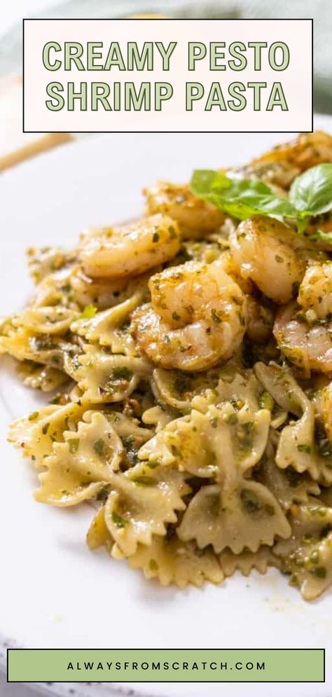 Dive into a bowl of pure deliciousness with this Creamy Pesto Shrimp Pasta! Perfect for busy weeknights, this easy shrimp pasta dish comes together in under 30 minutes, making it a go-to for your dinner rotation. The rich, creamy sauce perfectly complements the tender shrimp, creating a mouthwatering flavor that everyone will love. Whether you're cooking for family or entertaining guests, this pesto shrimp recipe is sure to impress. Don't miss out—your taste buds are in for a treat! Pesto And Shrimp Pasta, Shrimp And Pesto Recipes, Shrimp Pesto Recipes, Creamy Pesto Shrimp Pasta, Pesto Shrimp Recipes, Shrimp Pesto Pasta Recipes, Healthy Shrimp Pasta Recipes, Pasta Recipes Rigatoni, Pasta Salad Recipes Italian