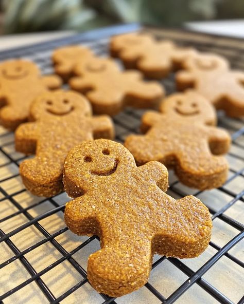 Gingerbread Pumpkin Dog Biscuits: A Festive Treat for Your Pup - mydogrecipe Pumpkin Dog Biscuits, Gingerbread Pumpkin, Gingerbread Dog, Dog Biscuits, Festive Treats, But Why, Dog Food, Dog Food Recipes, Gingerbread