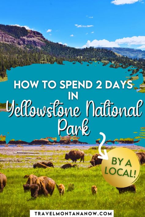 Discover the best way to spend 48 hours in Yellowstone National Park! Explore iconic landmarks like Old Faithful, the Grand Prismatic Spring, and the Grand Canyon of Yellowstone. Spot wildlife in Lamar Valley and enjoy scenic drives through the park's diverse landscapes. Whether you’re hiking, photographing geysers, or soaking up the beauty of Yellowstone Lake, this guide will help you create a memorable 2-day itinerary filled with adventure and awe-inspiring sights. One Day In Yellowstone National Park, 3 Day Yellowstone Itinerary, Yellowstone In May, Yellowstone National Park Itinerary, Yellowstone Hikes, Yellowstone Vacation Planning, Wyoming Trip, Glacier National Park Vacation, Yellowstone Itinerary