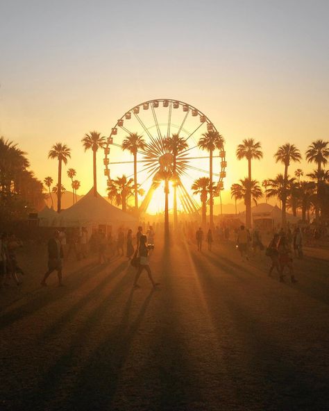 Sunset Shimmer Aesthetic, Photography Skateboard, Coachella Chic, Coachella Aesthetic, Coachella Weekend 2, Music Festival Hair, Stagecoach Festival, Coachella 2014, Coachella 2015