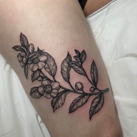 Tea plant! Tea Flower Tattoo, Tea Leaves Tattoo, Medium Size Tattoo, Tea Tattoos, Tokyo Tattoo, Green Tea Plant, Medium Size Tattoos, Tea Tattoo, Tea Plants