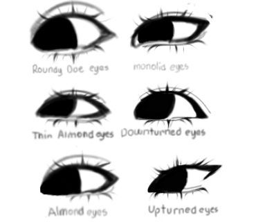 Eye Refrences Photos Drawing Anime, Doe Eye Drawing Reference, Cute Eye Styles Drawing, Cute Eyes Reference, Types Of Eye Drawing, Anime Face Features, Eye Shape Drawing Reference, Types Of Noses Drawings, How To Draw A Head Tut