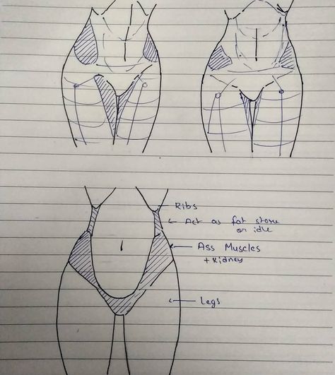 Hips Anatomy, Draw Hips, Thighs Drawing, Hip Anatomy, Leg Reference, Art Improvement, Posing Reference, Women Anatomy, Weight Gain Journey