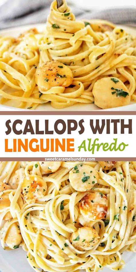 Scallop Linguine is a quick and easy seafood pasta recipe with succulent flavors and a decadent sense about it! With pan seared scallops, al dente pasta and a creamy pasta sauce this winning combination will have everyone licking their lips. Linguine with scallops can be your special occasion dish, just because dish or 'Winner winner scallop dinner' dish. @sweetcaramelsunday Scallop And Shrimp Pasta, Scallop Linguine, Easy Seafood Pasta, Scallop Dinner, Linguine Alfredo, Scallop Recipes Pasta, Seafood Recipes Scallops, Fish Dinners, Linguine Recipes