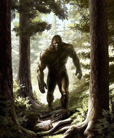 Bigfoot Drawing, Real Bigfoot, Bigfoot Pictures, Skunk Ape, Yeti Bigfoot, Bigfoot Art, Finding Bigfoot, Bigfoot Sightings, Bigfoot Sasquatch