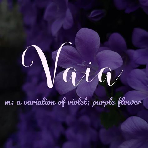 Name Vaia Female Character Names, Meaningful Names, Best Character Names, Fantasy Names, Aesthetic Names, Pretty Names, Name Inspiration, Unusual Words, Writing Characters