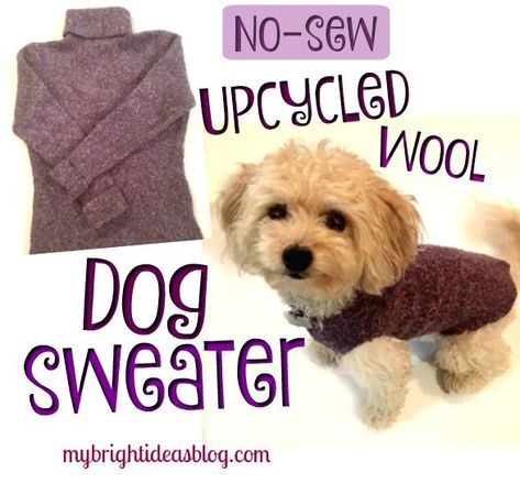 Diy Upcycled Dog Sweater, Diy Puppy Clothes Small Dogs, Diy Puppy Sweater Small Dogs, Doggie Outfits, Diy Dog Clothes, Diy Dog Sweater, Dog Clothes Patterns Sewing, Doggie Clothes, Yorkie Poodle