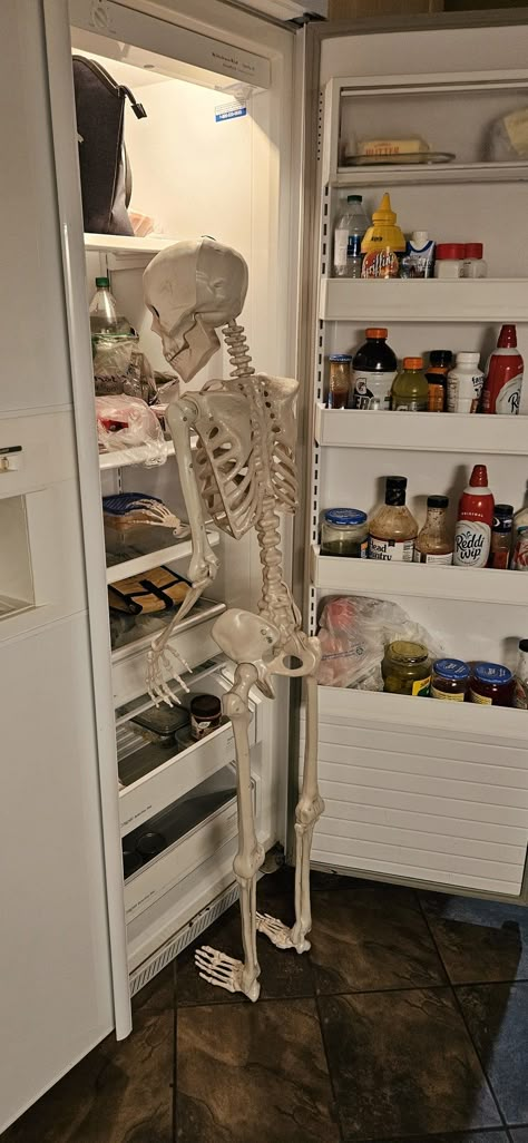 Skeleton Studying, Skeleton Reaction Pics, Chiropractor Aesthetic, Fancy Skeleton, Skeleton Images, Skeleton Memes, Vic Rattlehead, Its Too Much, Skeleton Meme