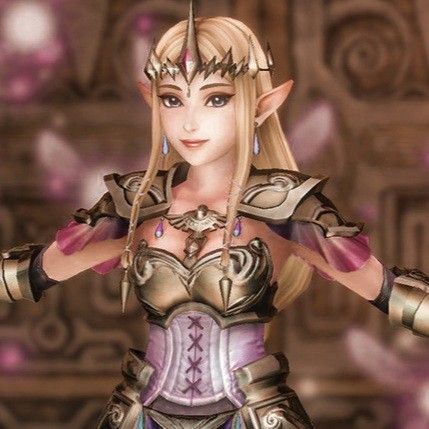 Princess Zelda Hyrule Warriors, Princess Zelda Makeup, Princess Zelda Icon, Legend Of Zelda Icons, Hyrule Warriors Definitive Edition, Tp Zelda, Hyrule Warriors Zelda, Zelda Pfp, Zelda Icon