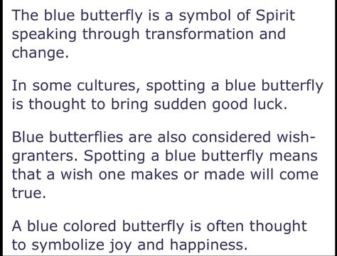 Blue Butterfly Spiritual Meaning, Blue Butterfly Meaning, Butterfly Spiritual Meaning, Butterfly Spiritual, Meaning Of Blue, Butterfly Meaning, Her Universe, Spiritual Meaning, Blue Butterfly