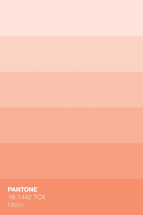 Melon Wall Color, Peach Pantone Color, Peachy Colour Palette, Trending Color Pallets 2023, Orange Tones Colour Palettes, Pink Peach Palette, Cantaloupe Color Palette, Pink Peach Orange Color Palette, Dusty Peach Color