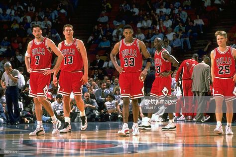 News Photo : Chicago Bulls Toni Kukoc , Luc Longley , Scottie... Luc Longley, Toni Kukoc, 1996 Chicago Bulls, Bulls Wallpaper, Michael Jordan Photos, Nba Photos, Phil Jackson, Jordan Bulls, Steve Kerr