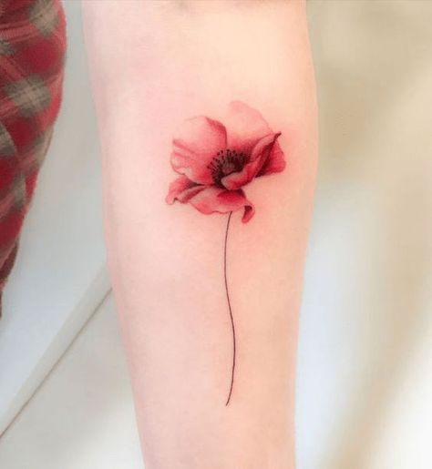 Women Tattoos Color, Poppy Tattoo Collar Bone, Realism Poppy Tattoo, Coloured Tattoo Ideas, Color Poppy Tattoo, Delicate Poppy Tattoo, Flower Tattoos Colorful, Tattoo Hoa Mini, Poppy Tattoos For Women