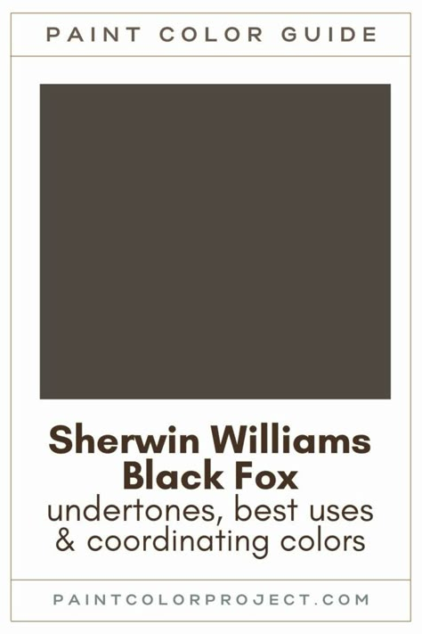 Looking for the perfect black paint color for your home? Let’s talk about Sherwin Williams Black Fox and if it might be right for your home! Brown Fox Sherwin Williams, Smokehouse Sherwin Williams, Off Black Paint, Black Paint Colors For Bedroom, Black Interior Paint Ideas, Nocturne Sherwin Williams, Black Fox Paint Color, Sherwin Williams Tungsten, Dark Sherwin Williams Paint Colors