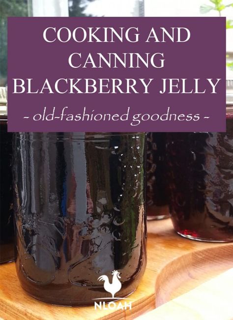 How To Make Blackberry Jelly, Small Batch Blackberry Jelly, Blackberry Jelly With Pectin, Blackberry Jelly Recipe Easy, Blackberry Jelly Recipe Seedless, Blackberry Jelly Recipe With Pectin, Dewberry Jelly Recipe, Blackberry Jelly Recipe, Canning Blackberries