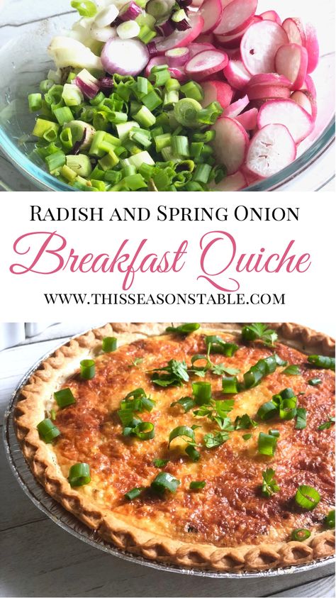 Looking for a fun and unique way to use up radishes this spring? Check out this Radish, Spring Onion, and Cream Cheese Breakfast Quiche! This is what brunch dreams are made of! #breakfast #quiche #radish #brunch #quicherecipes #brunchrecipes #easterrecipes via @thisseasonstable Breakfast Radish Recipes, Radish Tart, St Patricks Day Recipes, French Breakfast Radish, Cream Cheese Breakfast, Recipes For Spring, Spring Produce, Savory Tarts, Radish Recipes