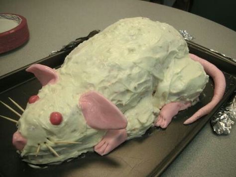 Pinterest Cake Funny, Rat Cakes Aesthetic, Rat Cakes Funny, Rat Cakes Birthday, Bad Birthday Cakes, Ugly Birthday Cakes, Weird Birthday Cakes, Cursed Birthday Cake, Ugly Cakes Funny