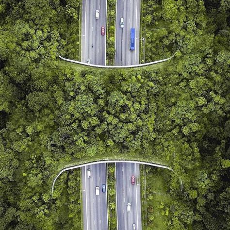 Green Bridge, Green Corridor, Green Infrastructure, Playground Slide, Eco City, Cities Skylines, Eco Architecture, Urban Nature, Road Design