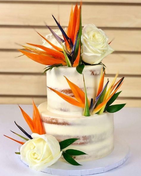 Bird Of Paradise Wedding Cake, Jungle Wedding Cake, 1st Anniversary Cake, Tropical Dinner, 1 Tier Cake, Bird Of Paradise Wedding, Tropical Wedding Cake, Tropical Centerpieces, Jungle Wedding